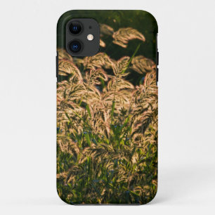 Wilde Hirse (Panicum Sp.) wächst im Feuchtgebiet iPhone 11 Hülle