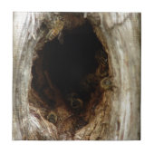 Wilde Honigbienen im Hollow Tree Fliese (Vorderseite)