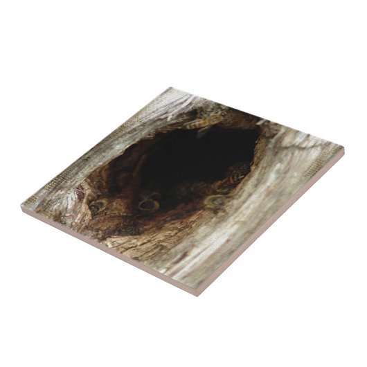 Wilde Honigbienen im Hollow Tree Fliese (Seite)