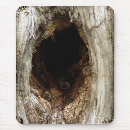 Wilde Honigbienen im Hollow Tree Mousepad (Vorne)