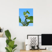 Wilde Hortensie Poster (Heimbüro)