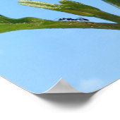 Wilde Hortensie Poster (Ecke)