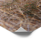 Wilde Hunde Poster und Print (Ecke)