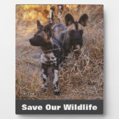 Wilde Hunde Rettete unsere Tierwelt Fotoplatte (Vorderseite)