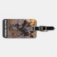 Wilde Hunde Rettete unsere Tierwelt