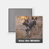Wilde Hunde Rettete unsere Tierwelt Magnet (Vorderseite/Rückseite)