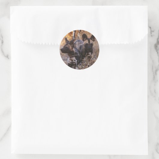 Wilde Hunde Stickers (Tasche)
