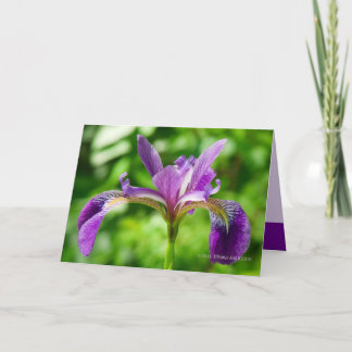 Wilde Iris-Blüte Karte