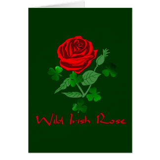 Wilde irische Rose