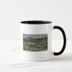 Wilde Iriswachsendes nahes Mt.-Mammut Tasse