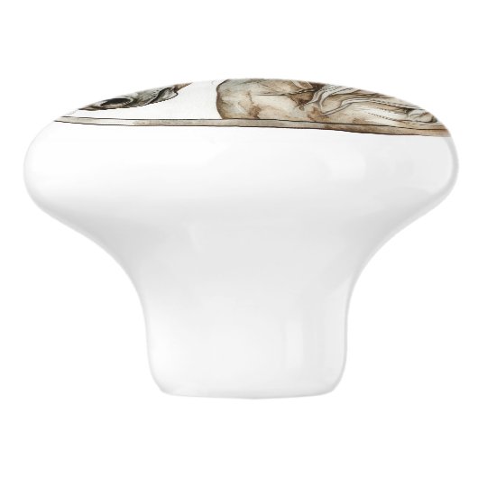 Wilde Jagd und zeitlose Sammlung Keramikknauf (Seitenansicht)