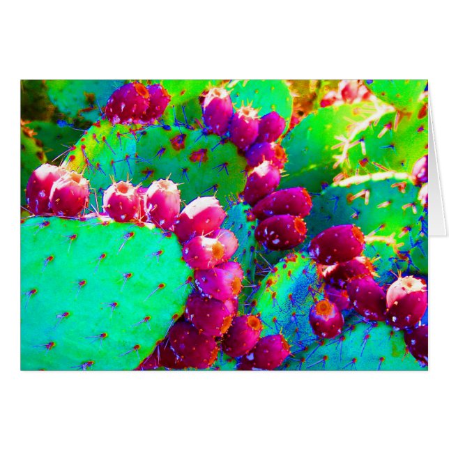 Wilde Kaktusfeigen (Vorderseite (Horizontal))