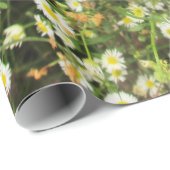 Wilde Kamille - Grasland-Meile - giftwrap Geschenkpapier (Rolleneckpunkt)