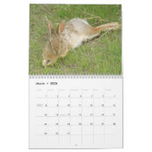 Wilde Kaninchen 2009 Kalender (Mär 2026)