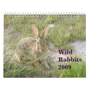 Wilde Kaninchen 2009 Kalender