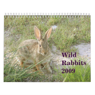 Wilde Kaninchen 2009 Kalender