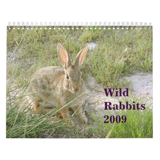 Wilde Kaninchen 2009 Kalender (Titelbild)