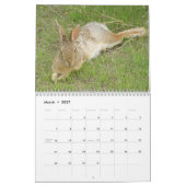 Wilde Kaninchen 2009 Kalender (Mär 2027)