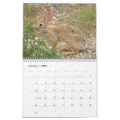 Wilde Kaninchen 2009 Kalender (Jan 2027)