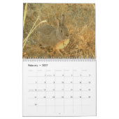 Wilde Kaninchen 2009 Kalender (Feb 2027)