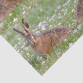 Wilde Kaninchen, die im Gewebe sitzen Seidenpapier (Detail)