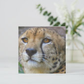 Wilde Käseeinladungen Einladung (Stehend Vorderseite)