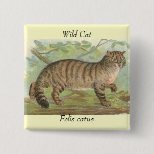Wilde Katze Button