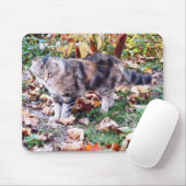 Wilde Katze im Herbst Mousepad (Mit Mouse)
