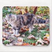 Wilde Katze im Herbst Mousepad (Vorne)