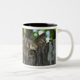 Wilde Katze Isis-Tasse Zweifarbige Tasse