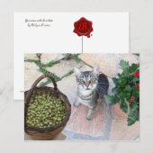 Wilde Katze Kitten Giannino mit Olivenkiste Postkarte (Vorne/Hinten)