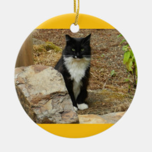 Wilde Katze Momma Keramik Ornament