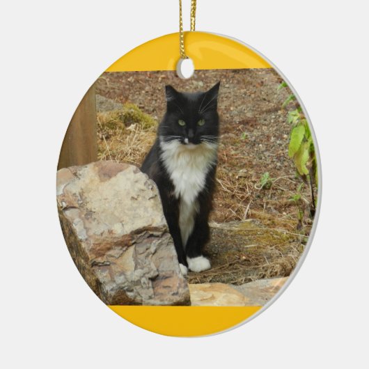 Wilde Katze Momma Keramik Ornament (Links)