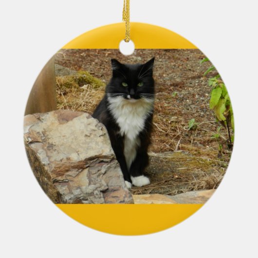 Wilde Katze Momma Keramik Ornament (Hinten)