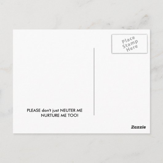 Wilde Katze NURTURE Postkarte (Rückseite)