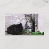 Wilde Katze verursacht Visitenkarte (Rückseite)