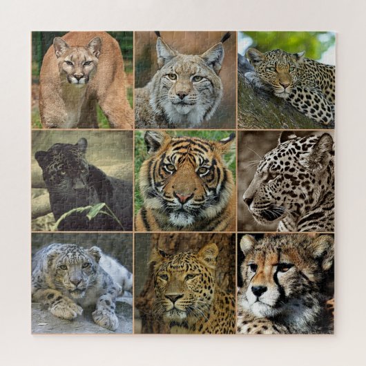 Wilde Katzen Foto Puzzle (Horizontal)