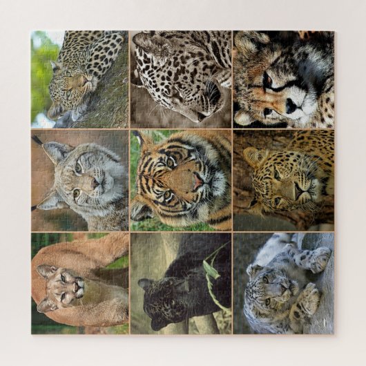 Wilde Katzen Foto Puzzle (Vertikal)
