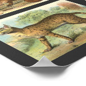 Wilde Katzen Poster (Ecke)