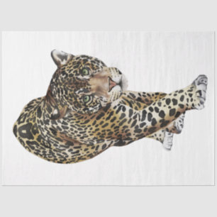 Wilde Katzen Serie Design 3 Seidenpapier