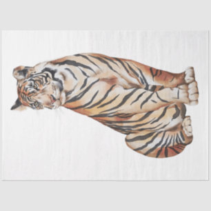 Wilde Katzen Serie Design 4 Seidenpapier
