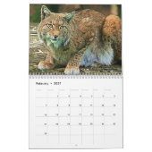 Wilde Katzen-Tiertier-Kalender Kalender (Feb 2027)