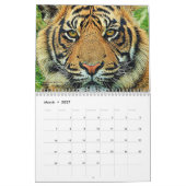 Wilde Katzen-Tiertier-Kalender Kalender (Mär 2027)