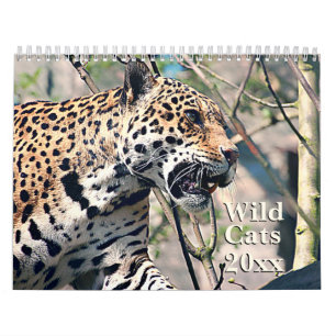 Wilde Katzen-Tiertier-Kalender Kalender