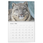 Wilde Katzen-Tiertier-Kalender Kalender (Jan 2026)