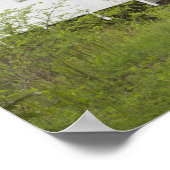 Wilde katzenbedeckte Brücke, Lane-Landkreis, Orego Poster (Ecke)