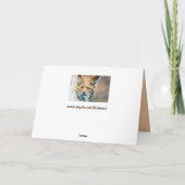 wilde Katzengrußkarte Karte (Rückseite)