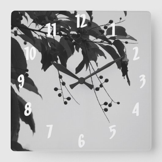 Wilde Kirschen Quadratische Wanduhr (Vorderseite)