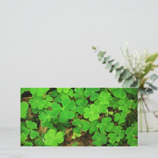 Wilde Kleeblätter (Stehend Vorderseite)