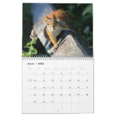 Wilde kleine Lebewesen Kalender (Mär 2026)